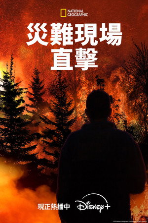 Witness to Disaster poszter