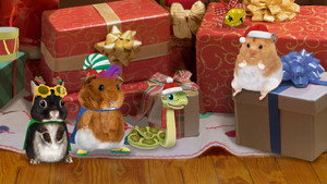 Wonder Pets: In the City 2. évad Ep.13 Segíts az ünnepi hörcsögnek!/Mentsd meg a hóembert!