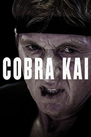 Cobra Kai poszter
