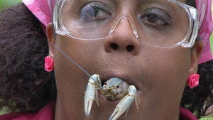 I'm a Celebrity...Get Me Out of Here! 10. évad Ep.14 14. epizód