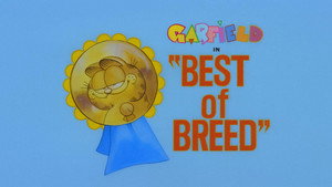 Garfield és barátai 1. évad Ep.31 31. epizód