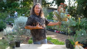 Gardening Australia 34. évad Ep.33 33. epizód