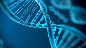 Naked Science: Evolution kép