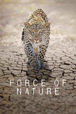 Force of Nature poszter