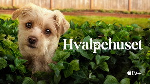 Kutyuskuckó kép
