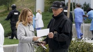 NCIS: Tengerészeti helyszínelők 16. évad Ep.19 Örökzöld