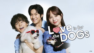 初恋DOGs kép