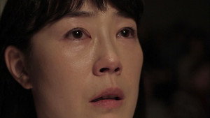 ソドムの林檎 kép