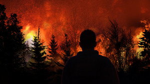 Witness to Disaster kép