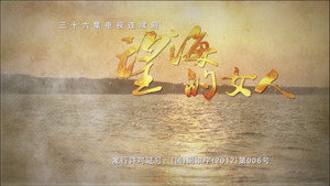 望海的女人 kép