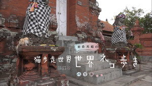 岩合光昭の世界ネコ歩き 1. évad Ep.35 35. epizód