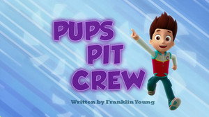 PAW Patrol 1. évad Ep.8 8. epizód