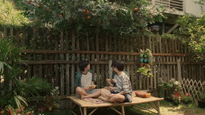 ต้นส้มบ้านเขา แต่ผลส้มหล่นมาบ้านเราตลอดเลย kép