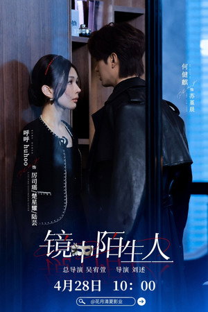 镜中陌生人 poszter