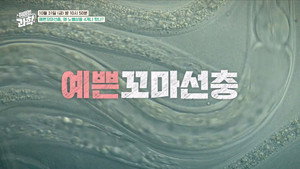 취미는 과학 1. évad Ep.56 56. epizód