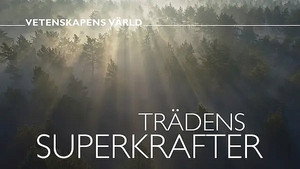 Vetenskapens värld 47. évad Ep.15 15. epizód