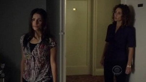 CSI: New York-i helyszínelők 6. évad Ep.5 Harci sebek