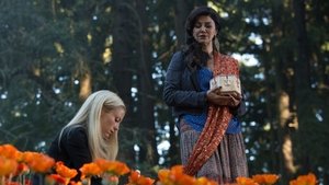 Grimm 3. évad Ep.1 Élve vagy halva