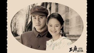 金婚·风雨情 kép