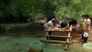 Jungle Animal Rescue kép
