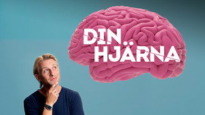 Din hjärna kép