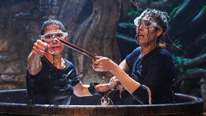I'm a Celebrity...Get Me Out of Here! 21. évad Ep.12 12. epizód