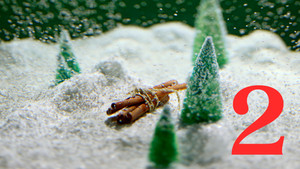 Last X-mas - 24 Tage für die Liebe 1. évad Ep.2 2. epizód