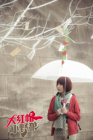 大紅帽與小野狼 1. évad (2013-08-05) poszter