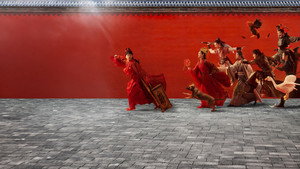 赘婿 kép
