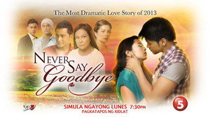 Never Say Goodbye kép