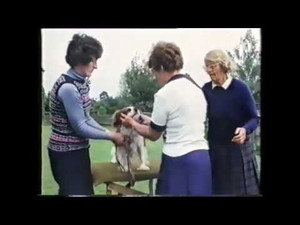 Training Dogs the Woodhouse Way 1. évad Ep.7 7. epizód