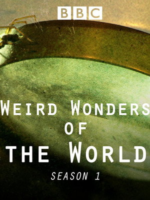 Weird Wonders of the World 1. évad (2015-09-03) poszter