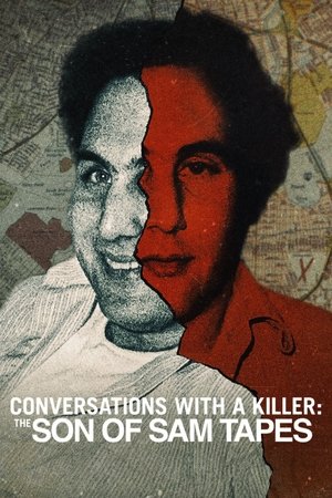 Beszélgetések egy sorozatgyilkossal: A David Berkowitz-szalagok