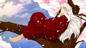 InuYasha kép