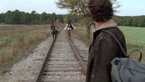 The Walking Dead kép