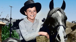 My Friend Flicka kép