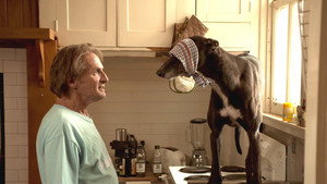 Hounds kép