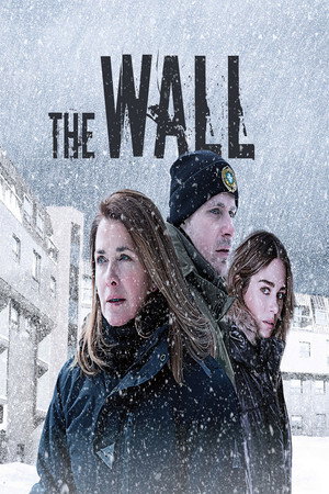 La faille poszter