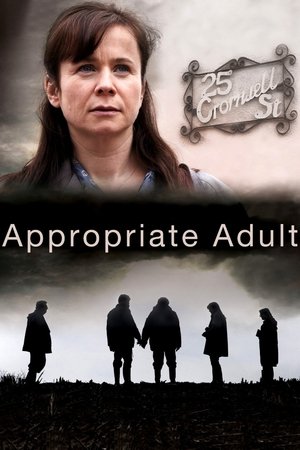 Appropriate Adult poszter