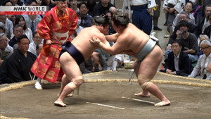 GRAND SUMO Highlights 35. évad Ep.9 9. epizód