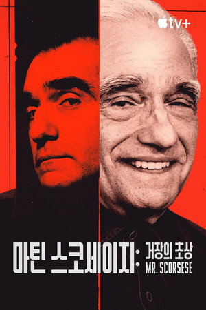 Mr. Scorsese poszter