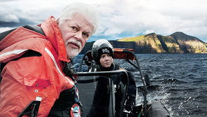Whale Wars: Viking Shores kép