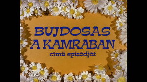 Mirr Murr a kandúr 1. évad Ep.11 Bujdosás a Kamrában