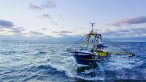 Trawlermen: Hunting the Catch kép