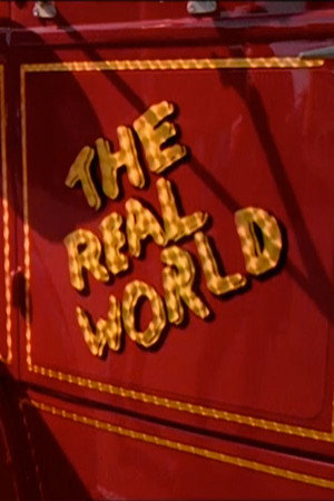 The Real World 6. évad (1997-07-15) poszter