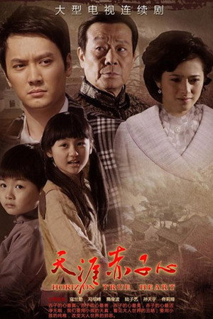 天涯赤子心 1. évad (2010-11-12) poszter
