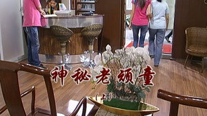 外来媳妇本地郎 6. évad Ep.2296 2296. epizód