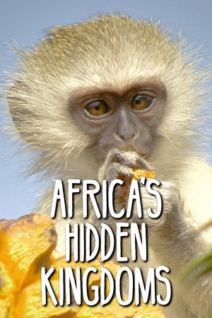 Afrika rejtett királyságai poszter