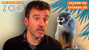 Une saison au zoo 6. évad Ep.5 5. epizód