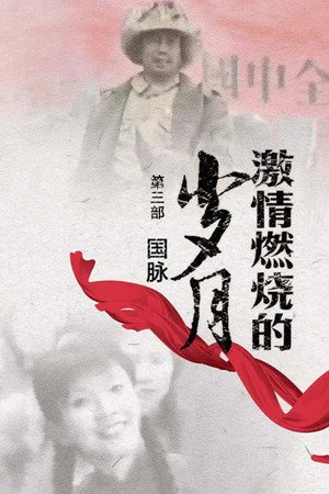 激情燃烧的岁月 3. évad (2006-08-21) poszter